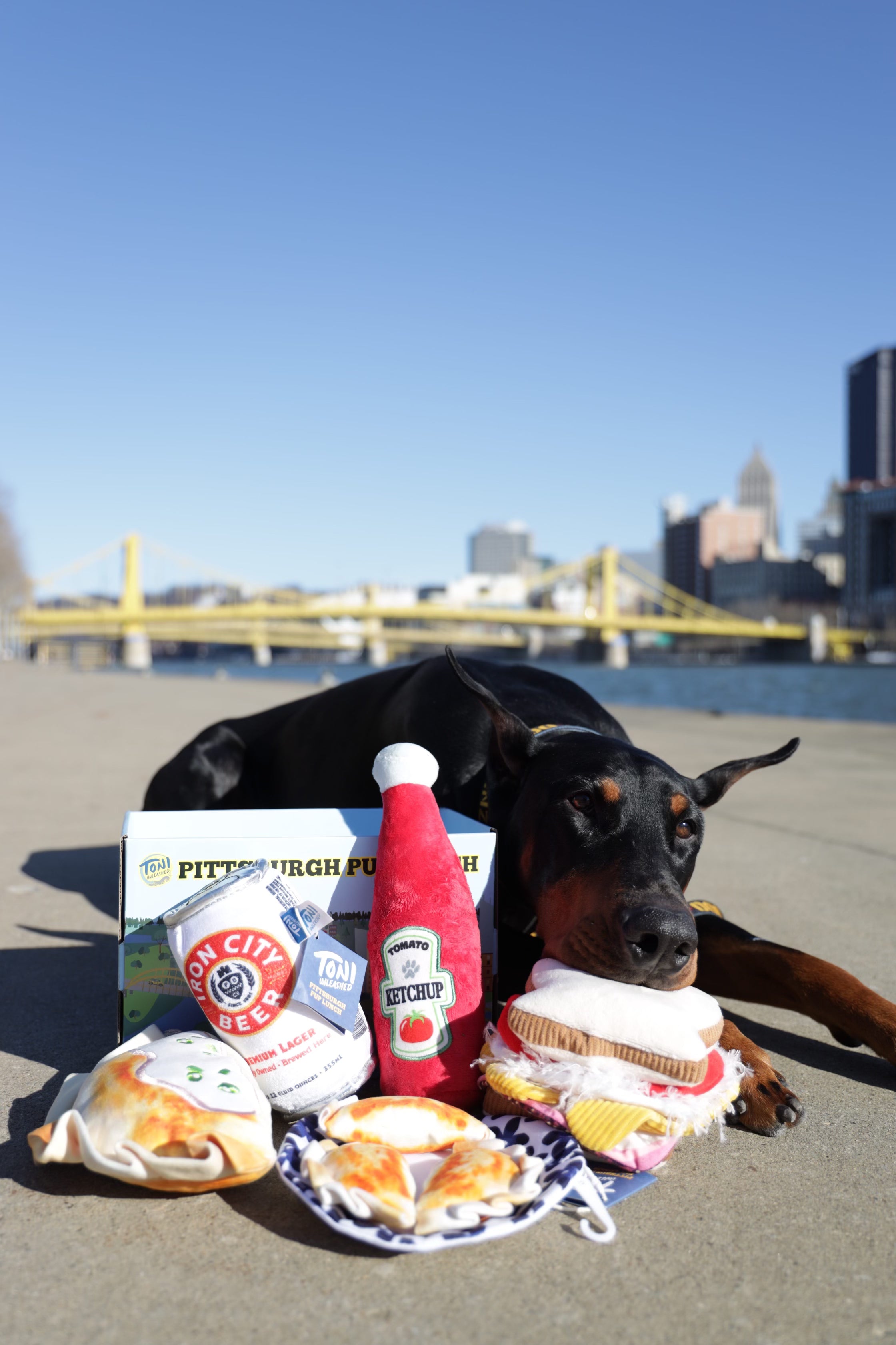 black dog posing with different Pittsburgh dog toys