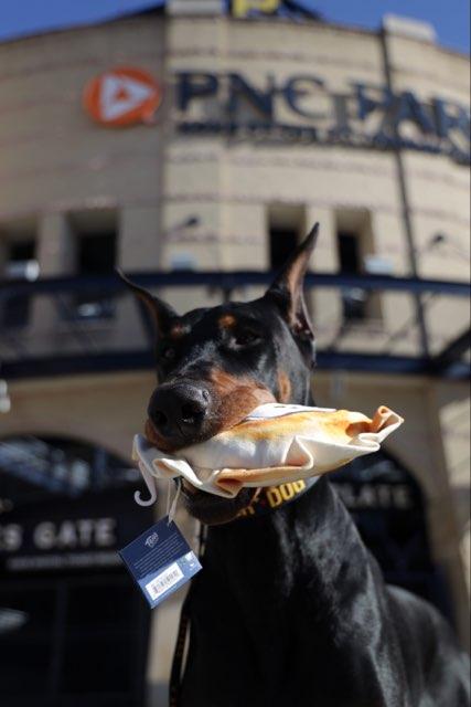 black dog playing with stuffed pierogi dog toy